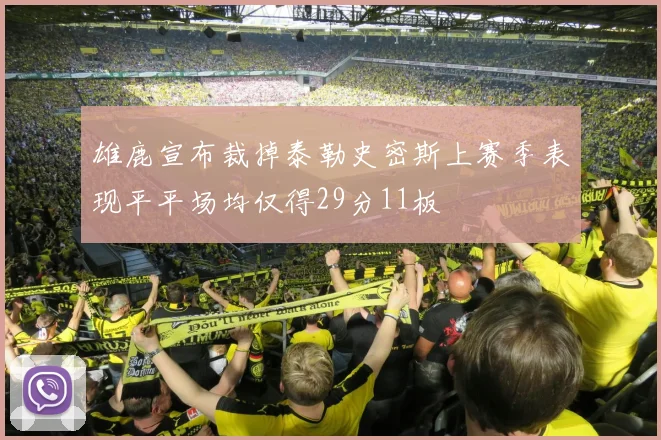 雄鹿宣布裁掉泰勒史密斯上赛季表现平平场均仅得29分11板