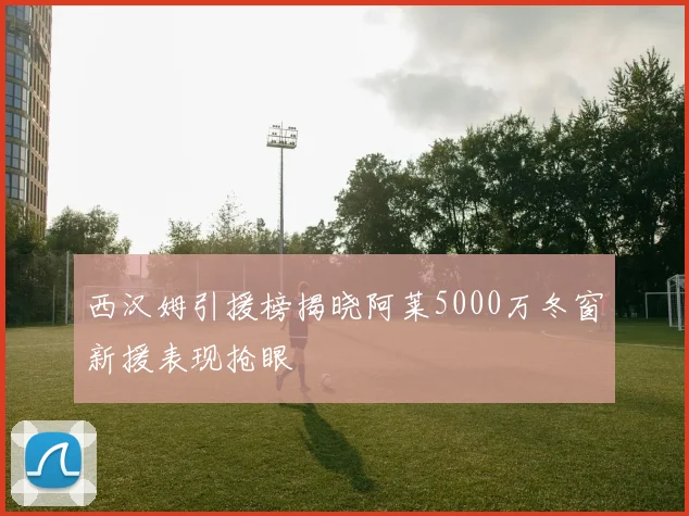 西汉姆引援榜揭晓阿莱5000万冬窗新援表现抢眼