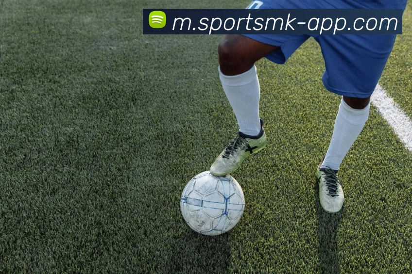 App Interface Preview