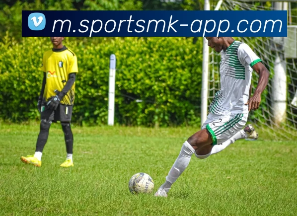 MK体育APP 封面图